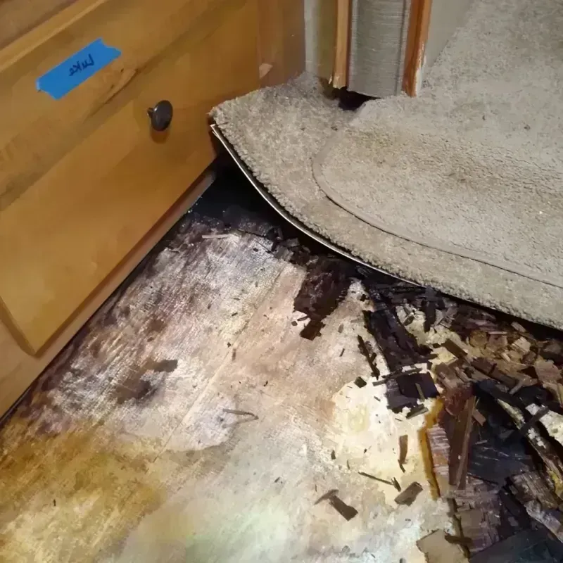 Wood Floor Water Damage in Bad Axe, MI